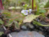 DSCN0959.JPG (920295 bytes)