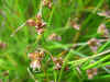 DSCN0961.JPG (925186 bytes)