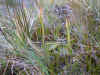 DSCN0969.JPG (893142 bytes)