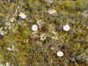 DSCN0974.JPG (956057 bytes)
