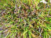 DSCN0975.JPG (891955 bytes)