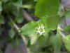 DSCN0982.JPG (910326 bytes)