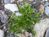 DSCN0986.JPG (899432 bytes)
