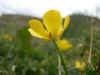 DSCN0989.JPG (869444 bytes)