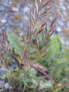 DSCN0990.JPG (891817 bytes)