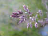 DSCN0991.JPG (939435 bytes)