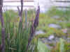 DSCN0994.JPG (895836 bytes)
