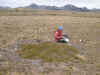 DSCN1779.JPG (869048 bytes)