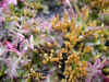 DSCN1780.JPG (784674 bytes)