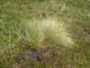 DSCN1781.JPG (835149 bytes)