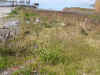 DSCN1797.JPG (811088 bytes)