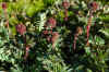 DSC_0334.JPG (1357563 bytes)