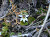 DSCN0004.JPG (426114 bytes)