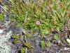 DSCN0007.JPG (473532 bytes)