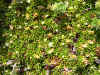 DSCN1004.JPG (903732 bytes)
