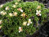 DSCN1005.JPG (906469 bytes)