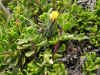 DSCN1006.JPG (915722 bytes)