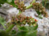 DSCN1012.JPG (889638 bytes)