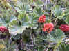 DSCN1016.JPG (884979 bytes)
