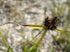 DSCN1021.JPG (924785 bytes)