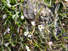 DSCN1022.JPG (876611 bytes)