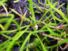 DSCN1024.JPG (892553 bytes)