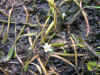 DSCN1026.JPG (897404 bytes)