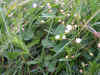 DSCN1034.JPG (912713 bytes)