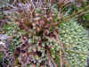 DSCN1039.JPG (890730 bytes)
