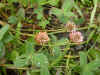 DSCN1830.JPG (805891 bytes)