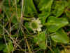 DSCN1835.JPG (788324 bytes)