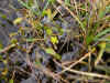 DSCN1839.JPG (809110 bytes)