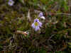DSCN1849.JPG (769045 bytes)