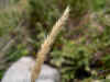 DSCN1853.JPG (794912 bytes)