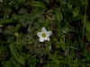 DSCN1854.JPG (783428 bytes)