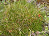 DSCN1856.JPG (862332 bytes)