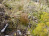 DSCN1858.JPG (904468 bytes)