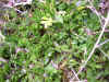 DSCN1860.JPG (816701 bytes)