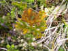 DSCN1863.JPG (839097 bytes)