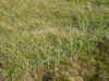 DSCN1874.JPG (960134 bytes)