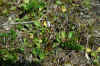 DSC_0257.JPG (1684103 bytes)