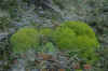 DSC_0262.JPG (1650606 bytes)