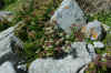DSC_0265.JPG (1634783 bytes)