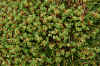 DSC_0266.JPG (1729062 bytes)