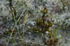 DSC_0271.JPG (1454192 bytes)