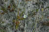 DSC_0272.JPG (1446655 bytes)