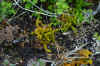 DSC_0291.JPG (1587202 bytes)