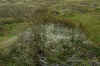 DSC_0299.JPG (1627007 bytes)