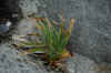 DSC_0300.JPG (1250213 bytes)