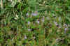 DSC_0307.JPG (1736677 bytes)